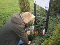 Harcerze składają kwiaty pod tablicą 
