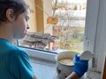 5. Chłopiec uczy się posługiwac blenederem