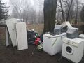 2 Zebrane na terenie szkoły elektrośmieci
