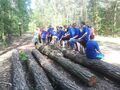 Harcerze są w lesie i stoją przy ściętych leżących drzewach