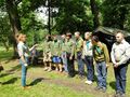 Harcerze stoją w szeregu podczas zbiórki i słuchają przybocznej stojącej naprzeciwko
