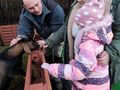 2. Zwiedzanie mini zoo, dwie dziewczynki głaszczące kozę