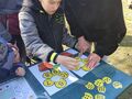 Uczeń z klasy IB i II B wraz z pomocą nauczyciela układa żółte płatki kwiatekw z cyferek od 1 do 10 .Chłopiec jest ubrany w szarą bluzę i czerwoną czapkę