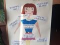 1. Plakat podstawowe zasady higieny 