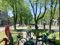 Przystanek na krotoszyńskich alejach
