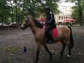 5 Chłopiec kieruje koniem po wyznaczonym torze