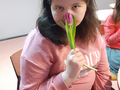 Dziewczyna trzyma w ręce tulipana