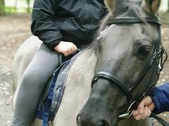 chłopiec siedzi na koniu. 