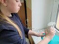 1. Dziewczynka blenduje szpinak na koktajl