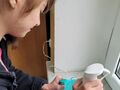 2. Dziewczynka blenduje szpinak na koktajl