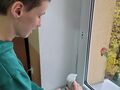 4. Chłopiec blenduje szpinak i owoce na konktajl