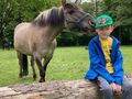1.zdjęcie konkursowe życie jest piękne  chłopiec siedzi na kłodzie drewna z tyłu koń