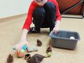 3. Zbieranie rekwizytów i umieszczanie ich w pojemniku