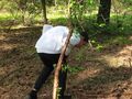 chłopiec przedziera się przez las schyla się pod gałęzią
