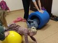Zdjęcie 2. Uczennica z asekuracją ćwiczy na piłce rehabilitacyjnej a uczeń z z pomocą kula się w beczce na sali gimnastycznej 