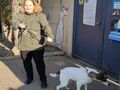 Ewa stoi przy schronisku i trzyma pieska na smyczy
