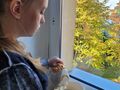 7. Dziewczynka przygotowuje krem 