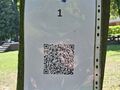 tablica qr z nr 1 na drzewie