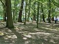 zdjecie parku druzyny chodzą i szukają tablic qr