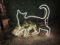 10.iluminacja świetlna kot w Ogrodach Świateł Zamku Książ