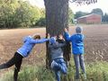 1. Uczniowie wykonują ćwiczenia przy drzewie 