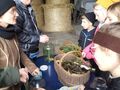 5uczniowie wykonyją kompozycje z zebranych w lesie roślin