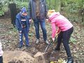 uczennica wykopuje dół na drzewko