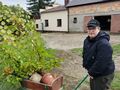 uczeń ciągnie drzewko do wsadzenia