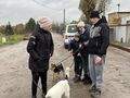 nauczyciel z uczniami wyprowadza psa na spacer