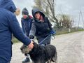 nauczyciel z uczniami wyprowadza psa na spacerjpg