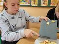 1. Dziewczynka kroi jabłko