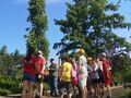 uczniowie stoją przy drzewie rosnącym kolumnowo