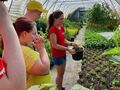 uczniowie w szklarni patrzą jak rozwijają się rośliny