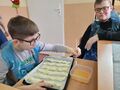 4. Chłopiec smaruje jajkiem paluchy czosnkowo serowe kopia