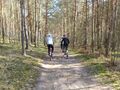 uczniowie jada na rowerach w lesie