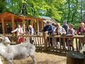 Uczniowie przed wybiegiem dla kóz