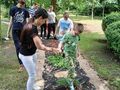 uczniowie chodzą po ścieżce sensorycznej