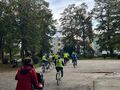 Grupa osób jedzie na rowerach 