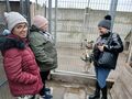 Piesek patrzy na dzieci i Panią
