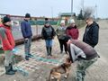 Piesek wita się z nauczycielem