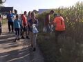 Dzieci zbierają smieci podczas spaceru4