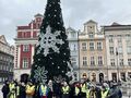 uczniowie i nauczyciele pozują do zdjęcia przy choince na Starym Rynku