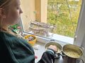 7. Dziewczynka smaży frytki.