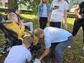 5. Uczniowie zbierają kasztany 