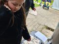 Dziewczynka układa drewnianą układankę konia 
