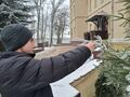 Chłopiec zawiesza karmę dla ptaków na choinkę w tle szkoła