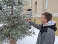 Chłopiec zawiesza karmę dla ptaków na choinkę w tle szkoła na ziemi śnieg
