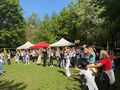 15.Grupa tańczących uczniów i nauczycieli. Wszyscy podnoszą ręce uśmiechają się 