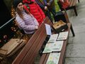 harcerze dopasowali liście do odpowiednich gatunków drzew na kartkach