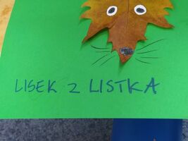 praca plastyczna z liści